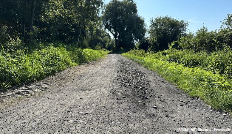 Am Rundweg um den Moorteich zwischen der Friedrich-Engels-Straße und An den Bleichen muss Hand angelegt werden. Am Rundweg um den Moorteich zwischen der Friedrich-Engels-Straße und An den Bleichen muss Hand angelegt werden.
