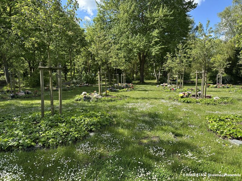 Urnen-Baumwahlgrab - Idylle der Ruhe und Erinnerung Urnen-Baumwahlgrab - Idylle der Ruhe und Erinnerung
