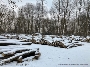 Das Holz liegt zum Verkauf auf dem Kleinen Dänholm bereit