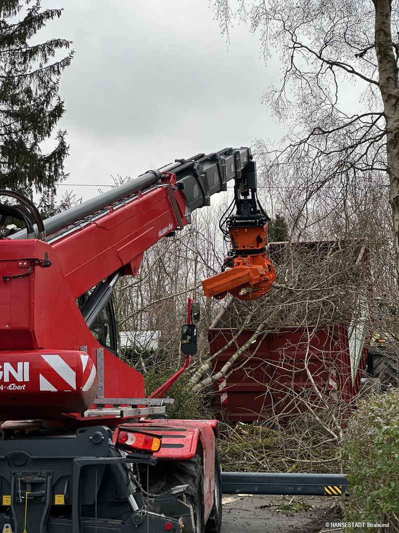 Mit dem Fällkran kann der Fahrer die Bäume fällen und das Holz ablegen wie benötigt Mit dem Fällkran kann der Fahrer die Bäume fällen und das Holz ablegen wie benötigt