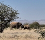 Fernwehreisen Namibia, ©Anke Thätner