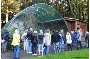 Echte Hingucker im Stralsunder Zoo - Rote Sichler