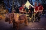 So schön wird der Adventsmarkt im Stralsunder Zoo