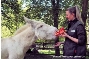 Zootierpflegerin Marie-Susann Schacht gratuliert mit einer eigens angefertigten Esel-gerechten Gemüsetorte